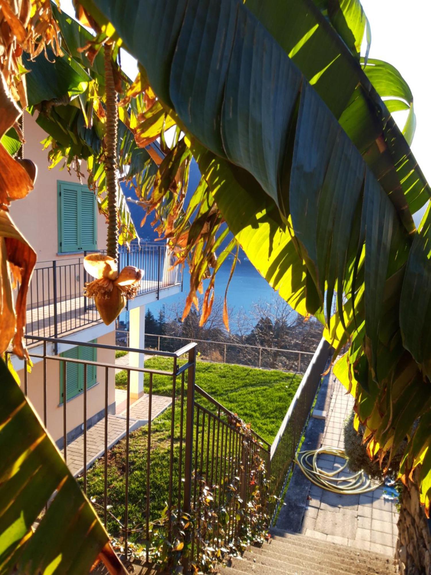 Montagna Del Sole W/ Pool Apartamento Muronico Exterior foto